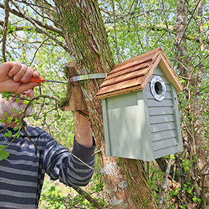 sustainability bees devon